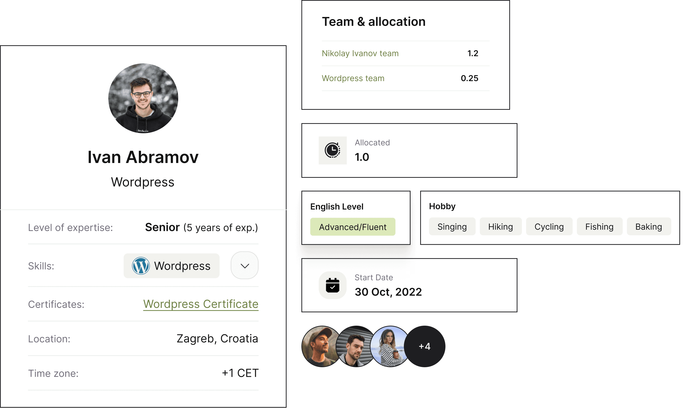 Hire Wordpress Developers
